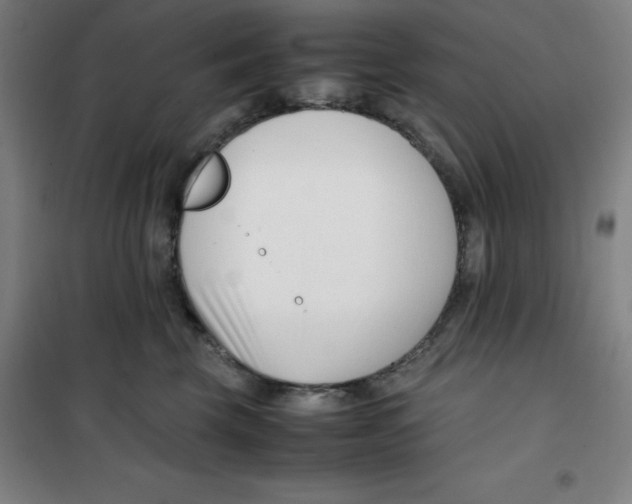 X0000100380569200807031928