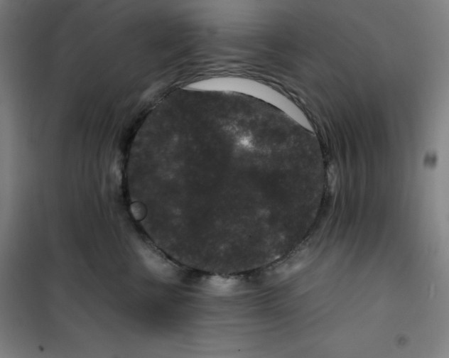 X0000100380570200807031928