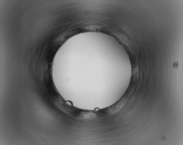 X0000100380572200807031928