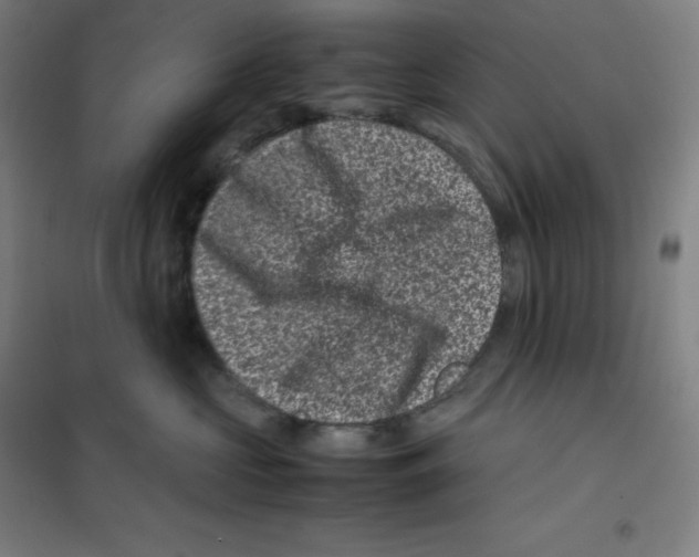 X0000100380573200807031928