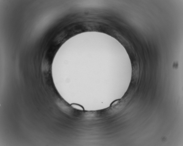 X0000100380574200807031928