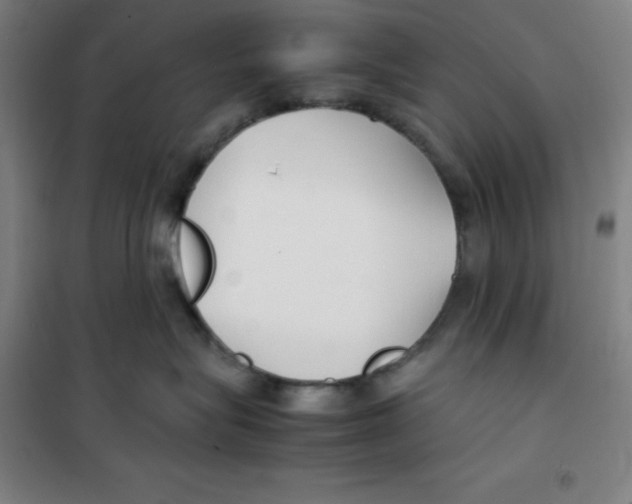 X0000100380575200807031928