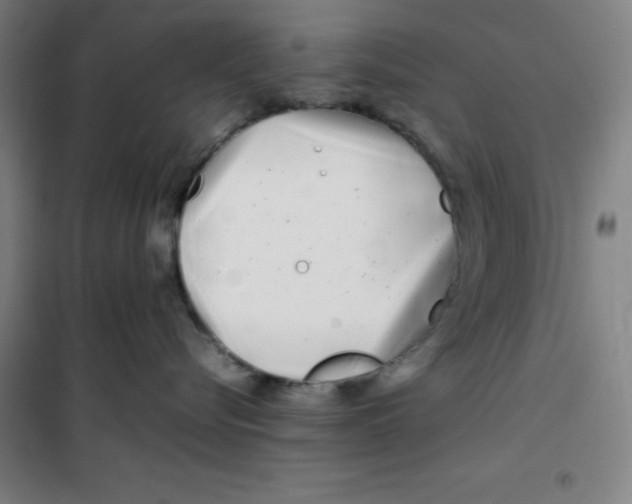 X0000100380576200807031928