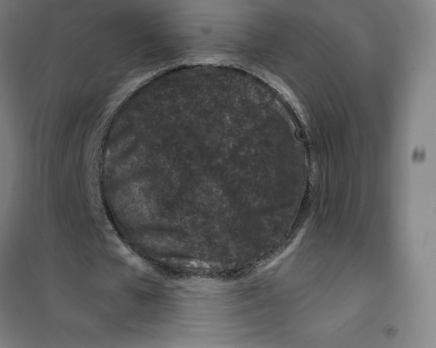 X0000100380577200807031927