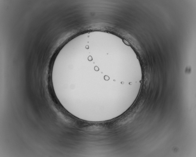 X0000100380578200807031927
