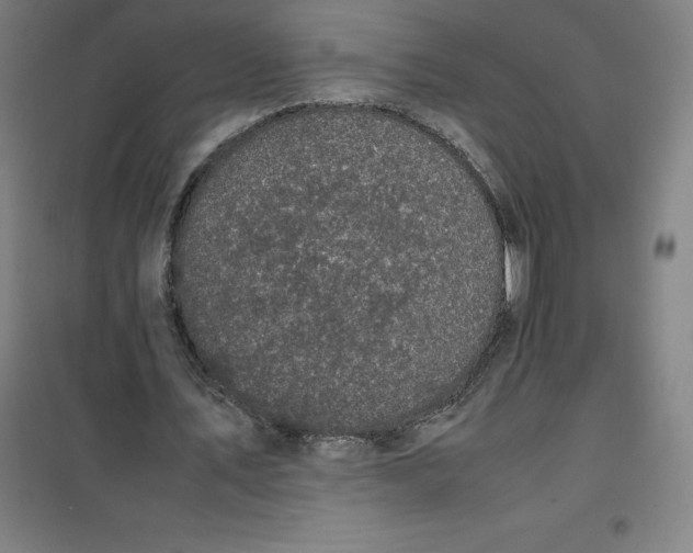 X0000100380579200807031927