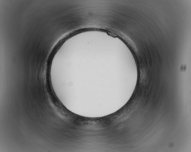 X0000100380580200807031927