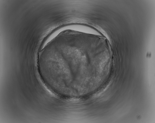 X0000100380581200807031927