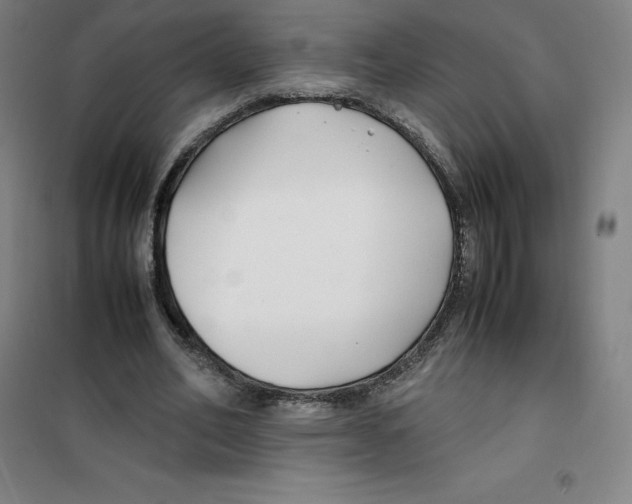 X0000100380582200807031927