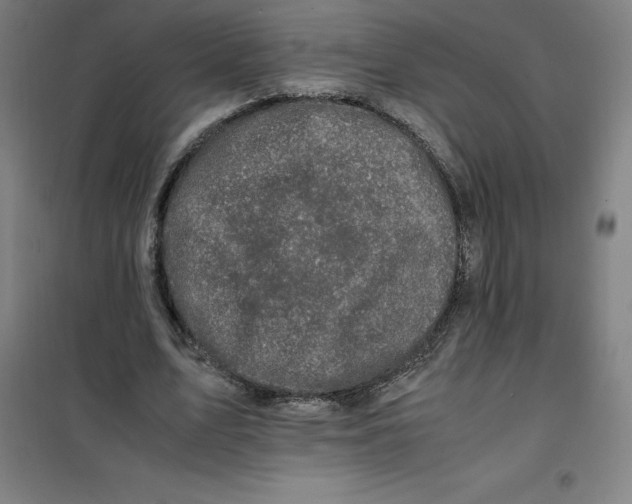 X0000100380583200807031927