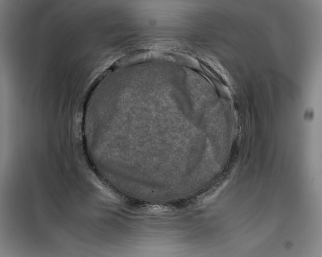 X0000100380585200807031927