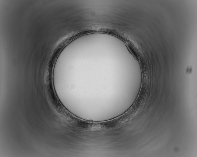 X0000100380587200807031927