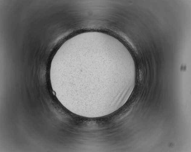 X0000100380588200807031927