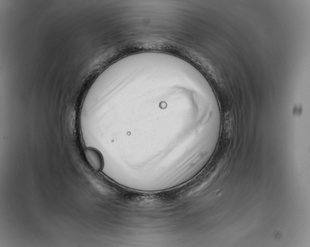 X0000100380589200807031927