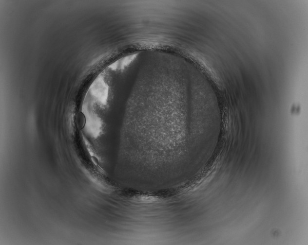 X0000100380590200807031927