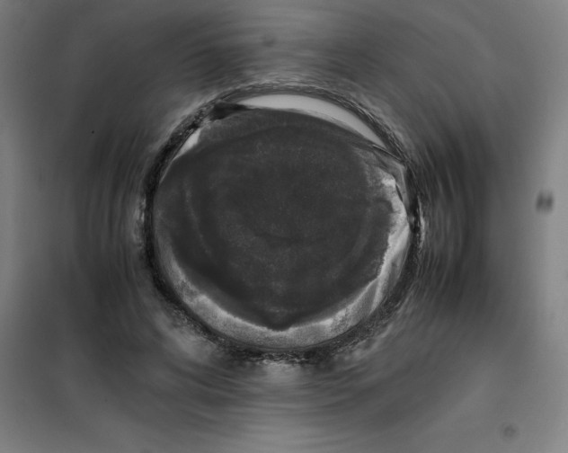 X0000100380592200807031927