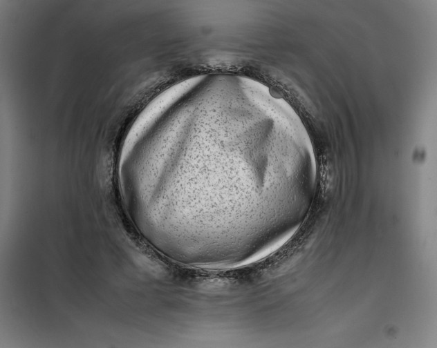 X0000100380593200807031927
