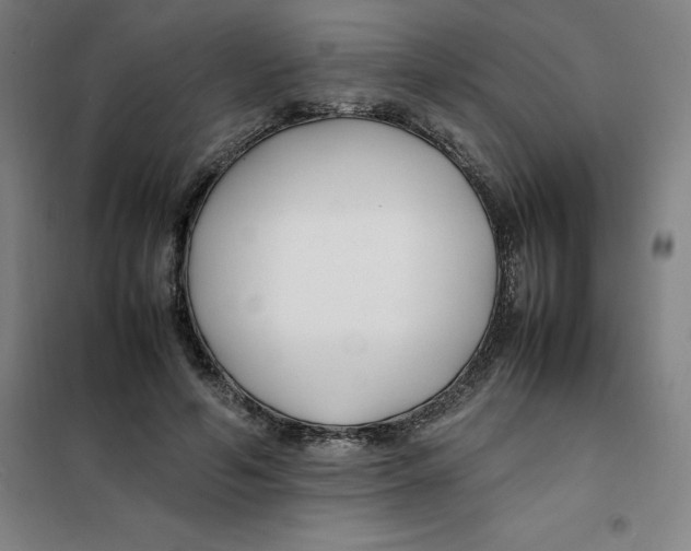 X0000100380594200807031927