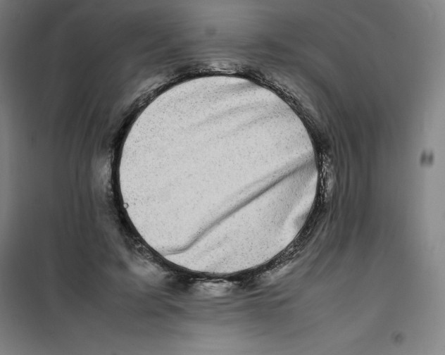 X0000100380595200807031927