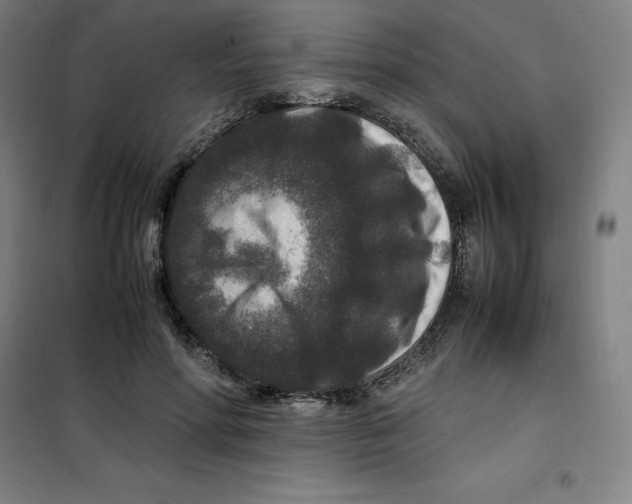 X0000100380598200807031927
