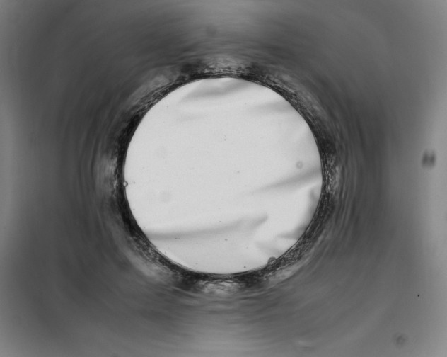 X0000100380599200807031927