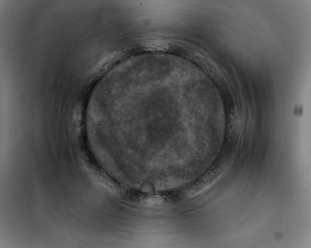 X0000100380600200807031927