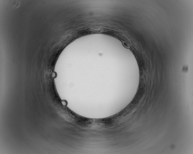 X0000100380601200807031927