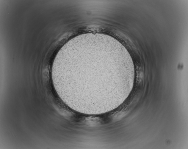 X0000100380603200807031927