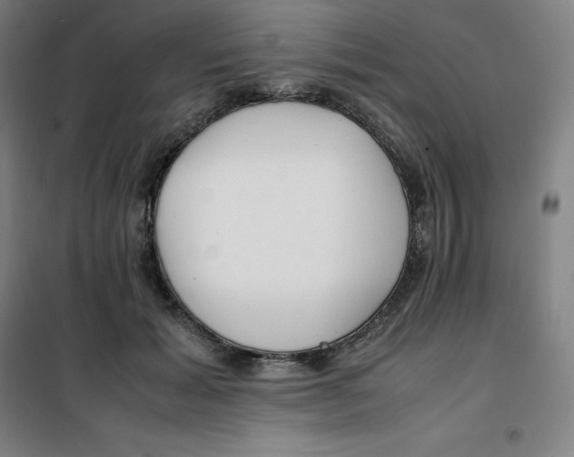 X0000100380605200807031927