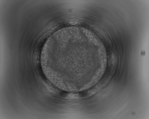 X0000100380606200807031927