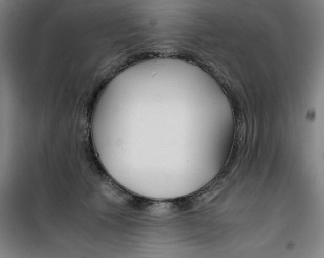 X0000100380609200807031927