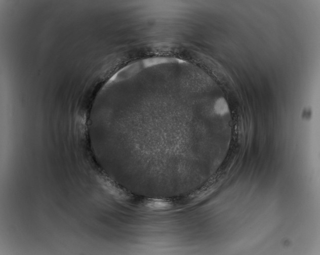 X0000100380610200807031927