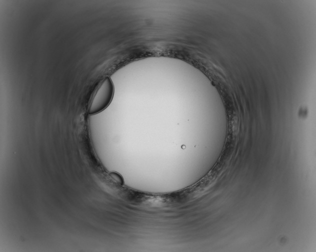 X0000100380611200807031927