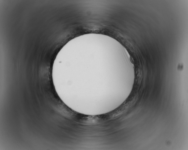 X0000100380612200807031927