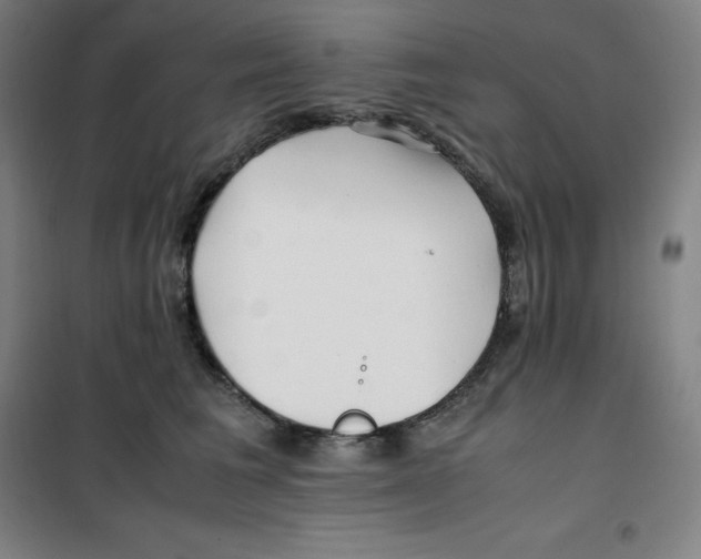 X0000100380613200807031927