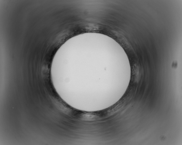 X0000100380614200807031927