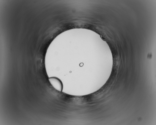X0000100380615200807031927