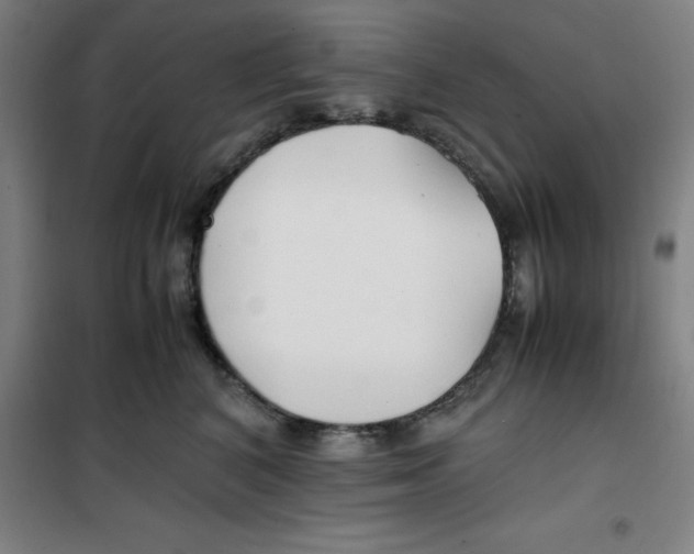 X0000100380616200807031927