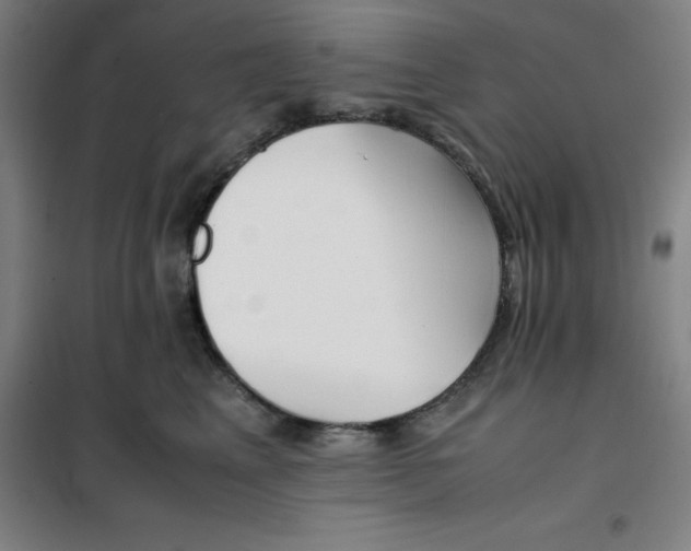 X0000100380617200807031927