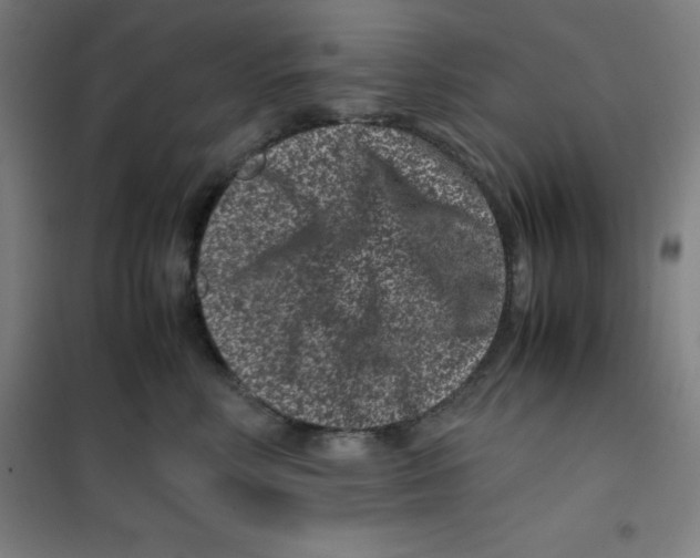 X0000100380618200807031927