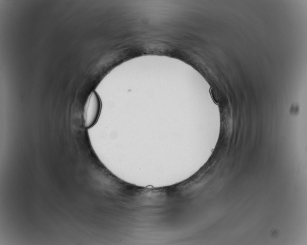 X0000100380619200807031927