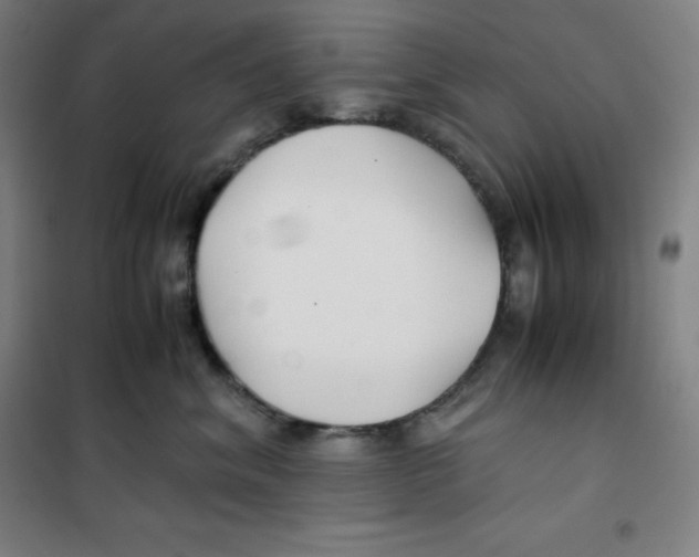 X0000100380620200807031927