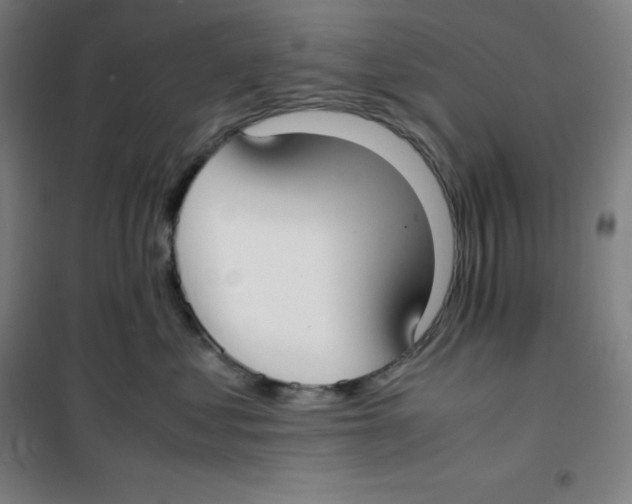X0000100380621200807031927