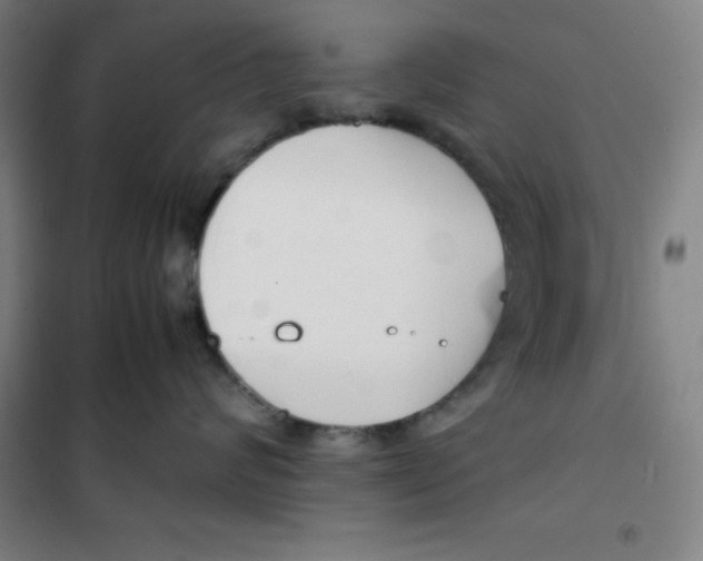 X0000100380624200807031926