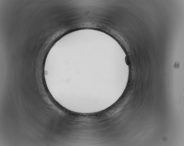 X0000100380625200807031926