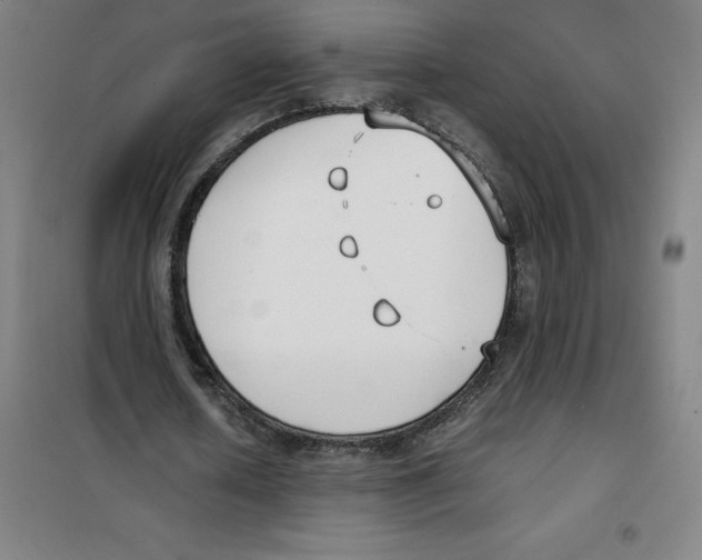X0000100380626200807031926