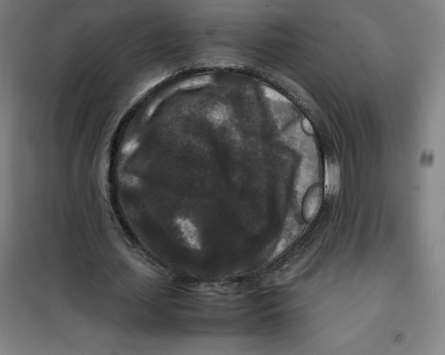 X0000100380627200807031926