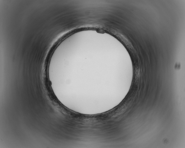 X0000100380628200807031926