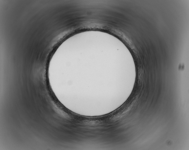 X0000100380629200807031926
