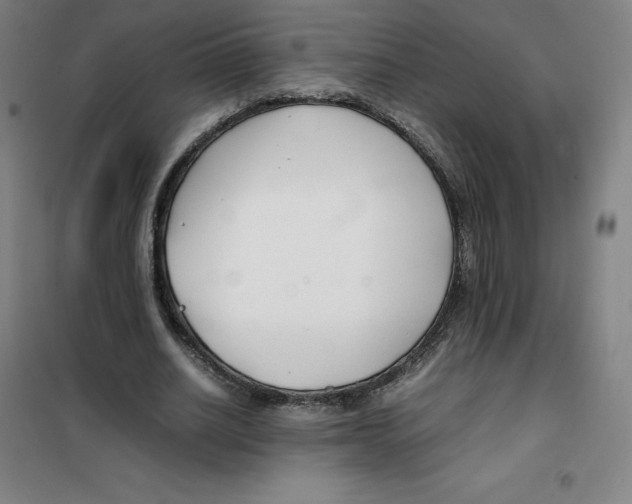 X0000100380630200807031926